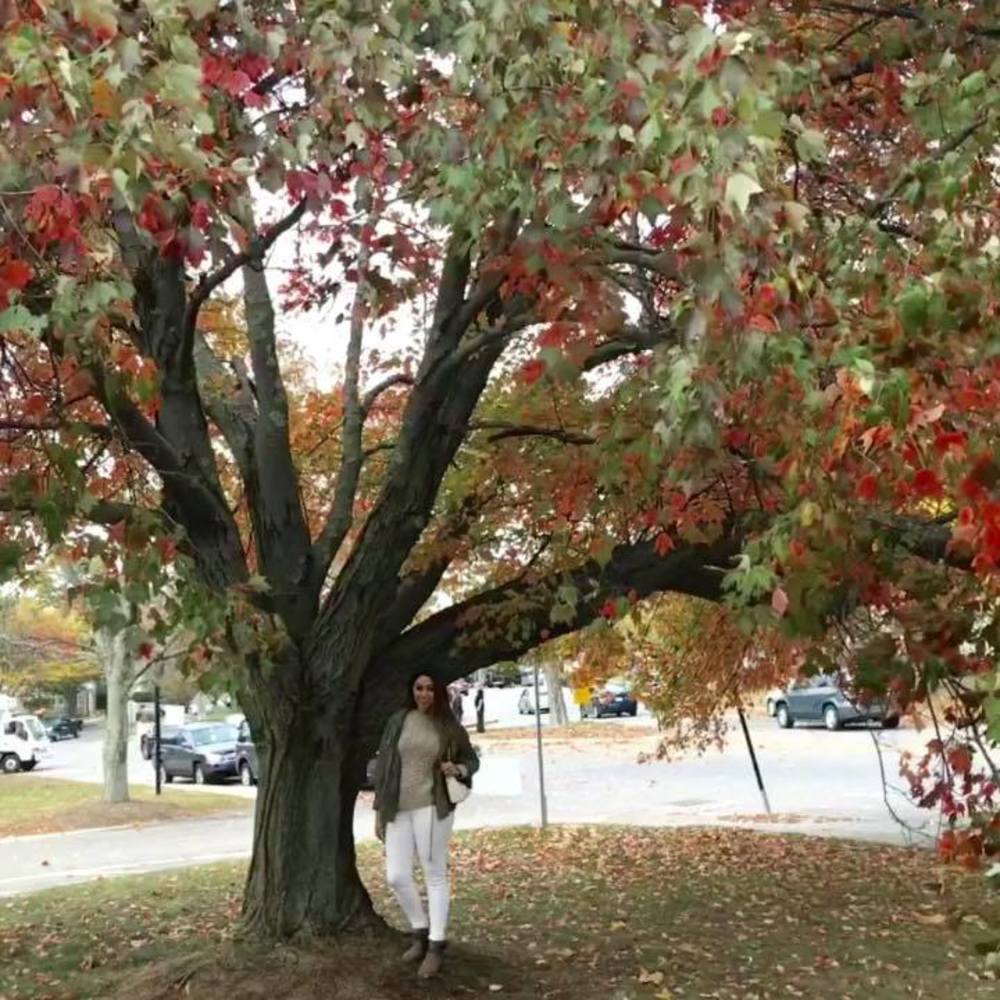 Meet your Posher, Lucia